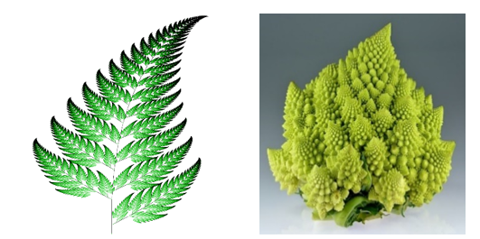 A close up of a plant

AI-generated content may be incorrect.