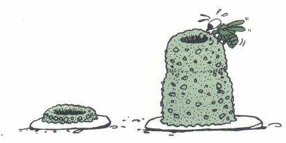 A cartoon of a green plant

AI-generated content may be incorrect.