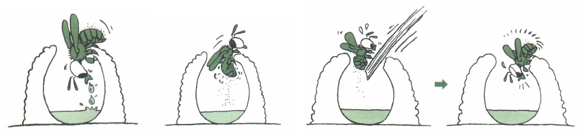 A drawing of a plant

AI-generated content may be incorrect.